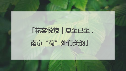 花容悦貌｜夏至已至，南京“荷”处有美韵