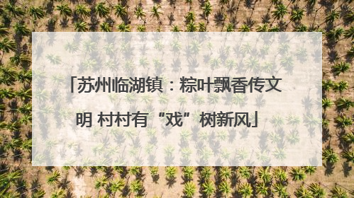 苏州临湖镇：粽叶飘香传文明 村村有“戏”树新风