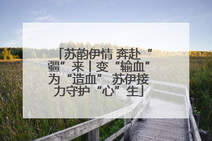 苏韵伊情 奔赴“疆”来丨变“输血”为“造血” 苏伊接力守护“心”生