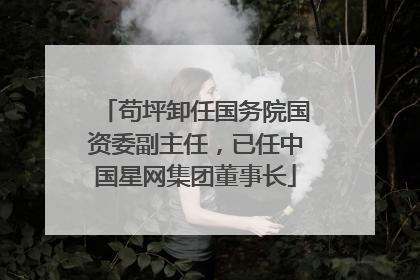 苟坪卸任国务院国资委副主任，已任中国星网集团董事长