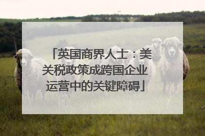 英国商界人士：美关税政策成跨国企业运营中的关键障碍
