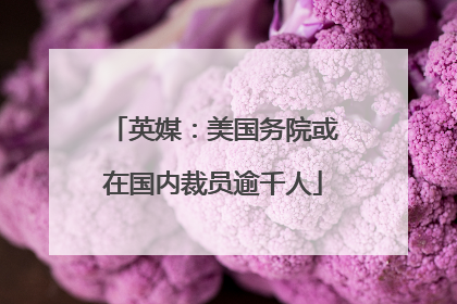 英媒：美国务院或在国内裁员逾千人