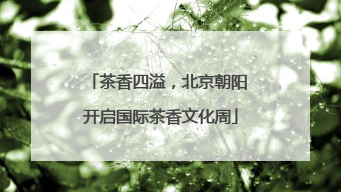 茶香四溢，北京朝阳开启国际茶香文化周