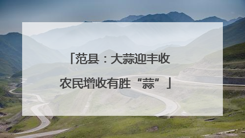 范县：大蒜迎丰收 农民增收有胜“蒜”