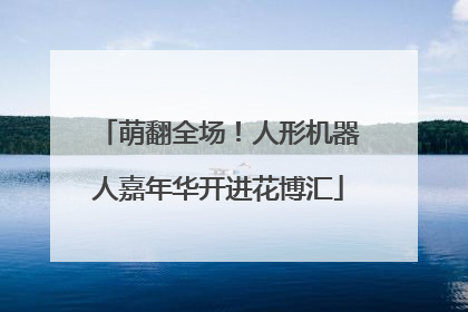 萌翻全场！人形机器人嘉年华开进花博汇