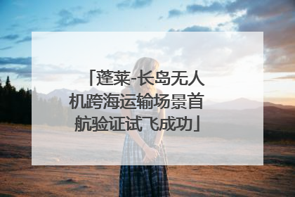 蓬莱-长岛无人机跨海运输场景首航验证试飞成功