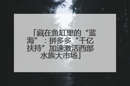 藏在鱼缸里的“蓝海”：拼多多“千亿扶持”加速激活西部水族大市场
