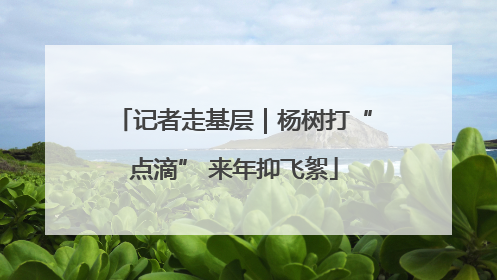 记者走基层｜杨树打“点滴” 来年抑飞絮