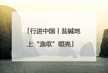 行进中国丨盐碱地上“渔歌”嘹亮