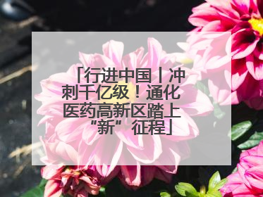 行进中国丨冲刺千亿级！通化医药高新区踏上“新”征程