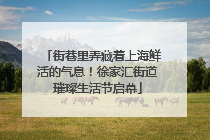 街巷里弄藏着上海鲜活的气息！徐家汇街道璀璨生活节启幕