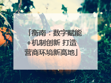 衡南：数字赋能+机制创新 打造营商环境新高地