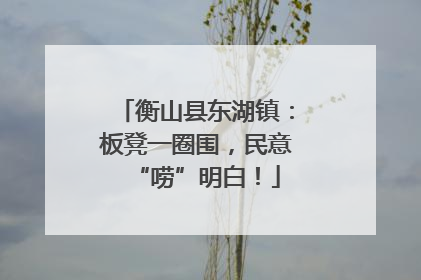 衡山县东湖镇：板凳一圈围，民意“唠”明白！