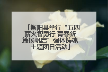 衡阳县举行“五四薪火智勇行 青春新篇扬帆启”强体铸魂主题团日活动