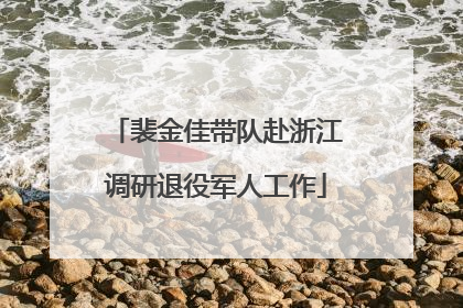裴金佳带队赴浙江调研退役军人工作