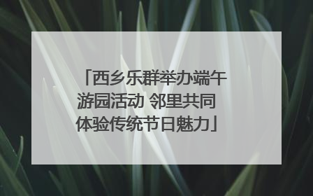 西乡乐群举办端午游园活动 邻里共同体验传统节日魅力