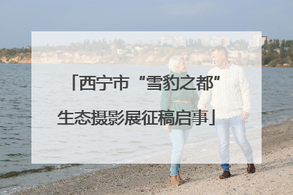 西宁市“雪豹之都”生态摄影展征稿启事