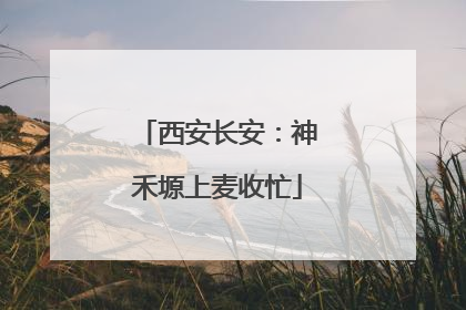 西安长安：神禾塬上麦收忙
