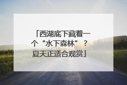 西湖底下藏着一个“水下森林”？夏天正适合观赏