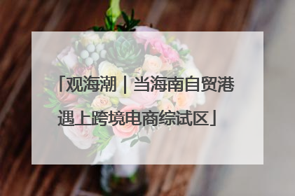 观海潮｜当海南自贸港遇上跨境电商综试区