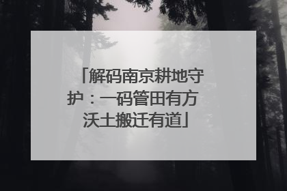 解码南京耕地守护：一码管田有方 沃土搬迁有道