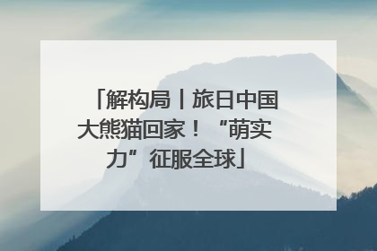 解构局丨旅日中国大熊猫回家！“萌实力”征服全球