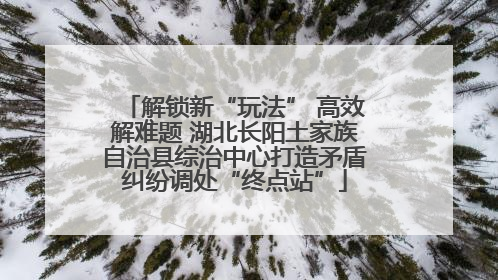 解锁新“玩法” 高效解难题 湖北长阳土家族自治县综治中心打造矛盾纠纷调处“终点站”
