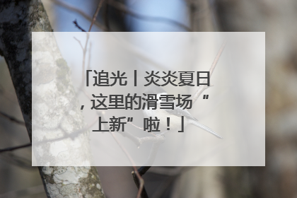 追光丨炎炎夏日，这里的滑雪场“上新”啦！