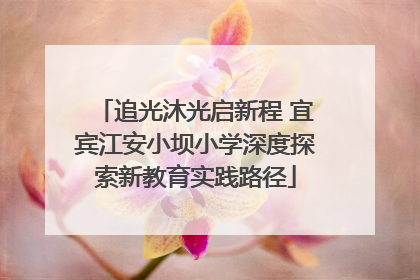 追光沐光启新程 宜宾江安小坝小学深度探索新教育实践路径