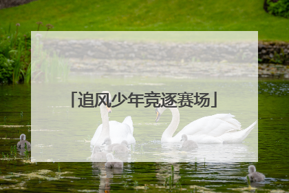追风少年竞逐赛场