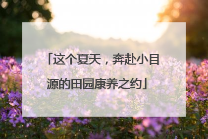 这个夏天，奔赴小目源的田园康养之约