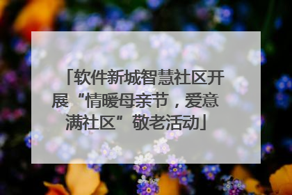软件新城智慧社区开展“情暖母亲节，爱意满社区”敬老活动