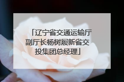 辽宁省交通运输厅副厅长杨树履新省交投集团总经理