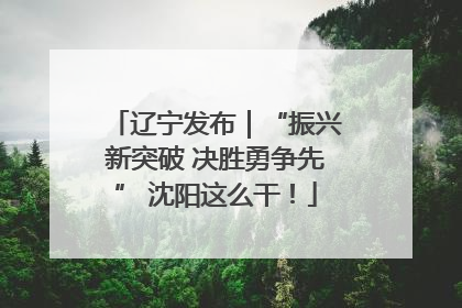 辽宁发布｜“振兴新突破 决胜勇争先” 沈阳这么干！