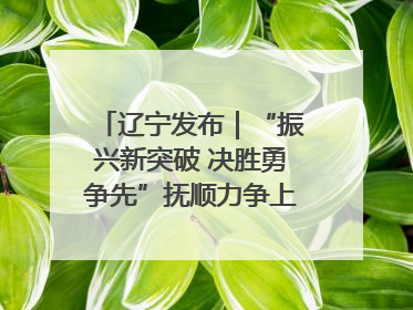 辽宁发布｜“振兴新突破 决胜勇争先”抚顺力争上半年地区生产总值增长7%左右