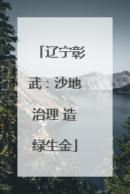 辽宁彰武：沙地治理 造绿生金