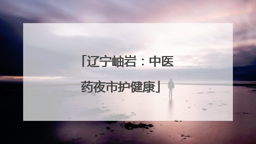 辽宁岫岩：中医药夜市护健康