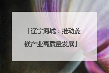 辽宁海城：推动菱镁产业高质量发展