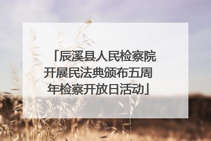 辰溪县人民检察院开展民法典颁布五周年检察开放日活动
