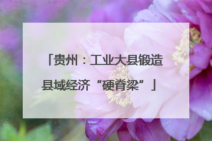 贵州：工业大县锻造县域经济“硬脊梁”