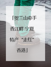 贺兰山牵手香江畔 宁夏特产“走红”香港