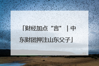 财经加点“言”｜中东财团押注山东父子