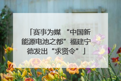 赛事为媒 “中国新能源电池之都”福建宁德发出“求贤令”