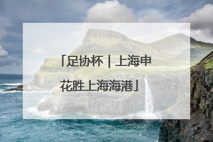 足协杯｜上海申花胜上海海港