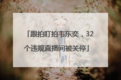 跟拍盯拍韦东奕，32个违规直播间被关停