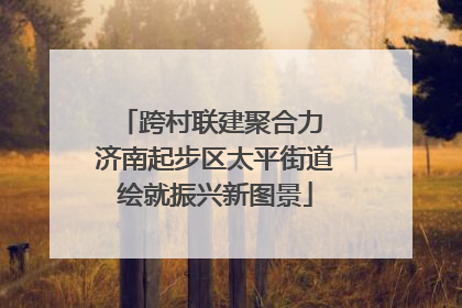 跨村联建聚合力 济南起步区太平街道绘就振兴新图景