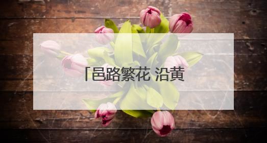 邑路繁花 沿黄九品 画乡鲤都……聊城乡村振兴片区建设亮点纷呈