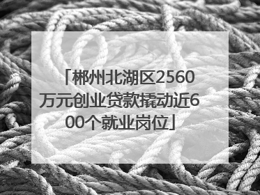 郴州北湖区2560万元创业贷款撬动近600个就业岗位