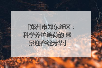 郑州市郑东新区：科学养护绘荷韵 盛景迎客绽芳华