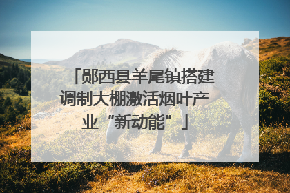 郧西县羊尾镇搭建调制大棚激活烟叶产业“新动能”